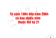 Từ năm 1994 đến năm 2004 có bao nhiêu năm thuộc thế kỷ 21